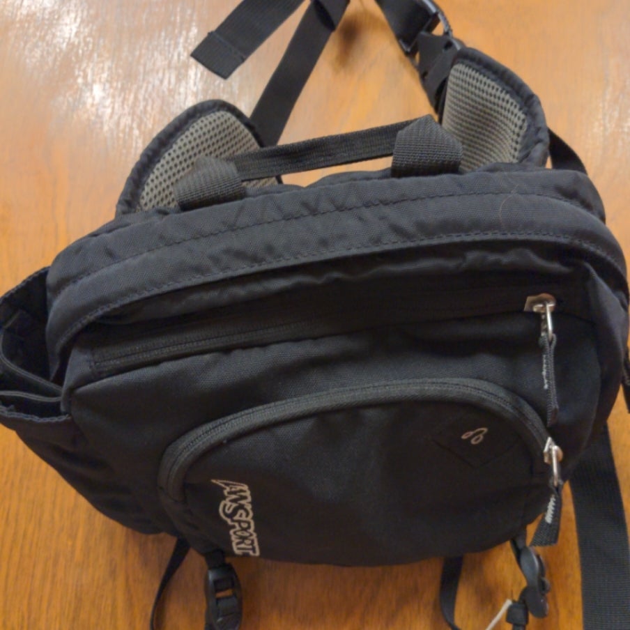 Jansport Fannypack Turntables & Trails The Best Audio & Outdoor